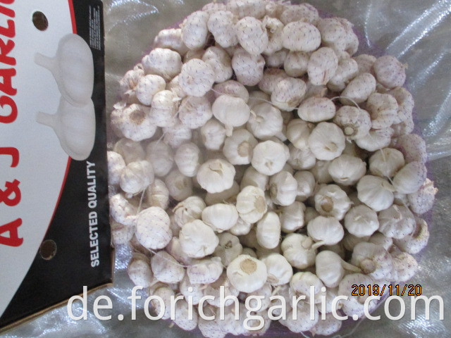 Best Quality Pure White Garlic